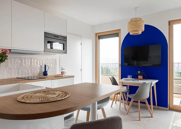 West View Studio 33 M2 Vue Monts D Or Et Lyon Dardilly
